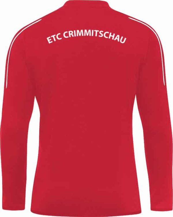 ETC-Crimmitschau-Sweatshirt-Ruecken-8850_01597f4c50b9f55