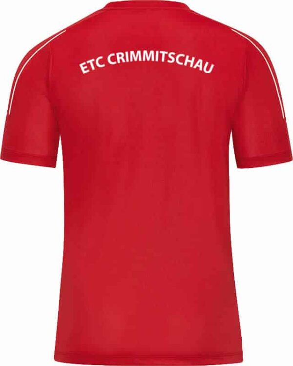 ETC-Crimmitschau-T-Shirt-Ruecken-6150_01597f4c6cad615