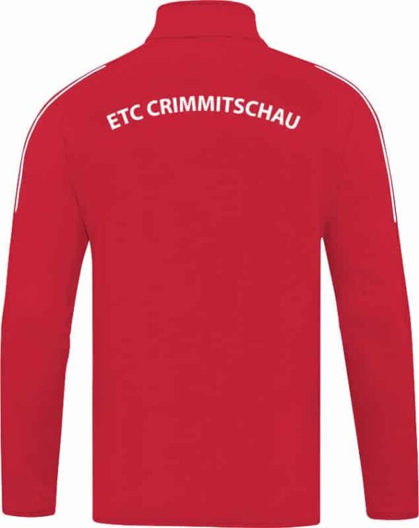 ETC-Crimmitschau-Ziptop-Ruecken-8650_01597f4c331d53c