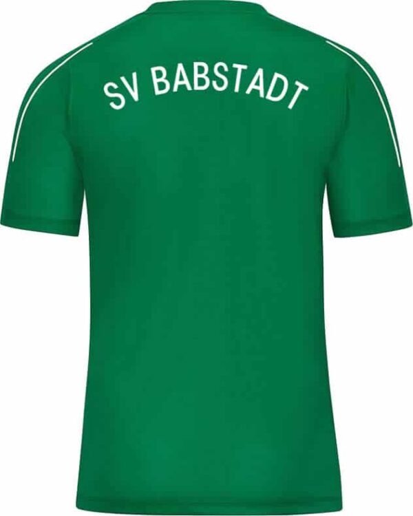SV-Babastadt-T-Shirt-6150-06-Ruecken