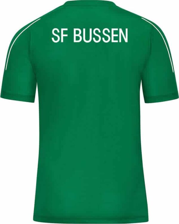 Sportfreunde-Bussen-T-Shirt-6150-06-Ruecken