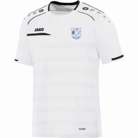 TSV-HD-Pfaffengrund-T-Shirt-6158-00
