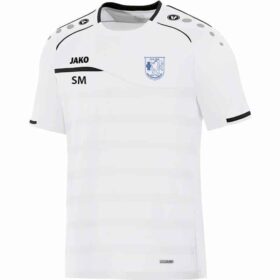 TSV-HD-Pfaffengrund-T-Shirt-6158-00-Name