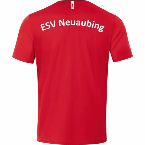 ESV-Spfrd-Neuaubing-T-Shirt-6120-01-Ruecken