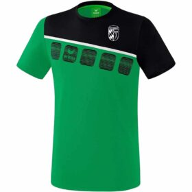 FC-Eschelbronn-T-Shirt-1081905