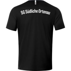SG-Suedliche-Ortenau-T-Shirt-6120-08-Ruecken