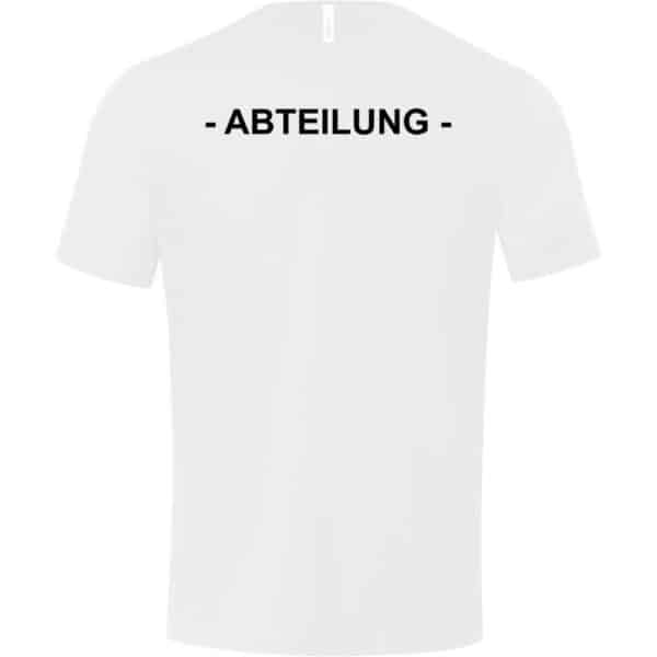 Schwimmverein-Wolfenbuettel-T-Shirt-6120-00-Ruecken-Abteilung