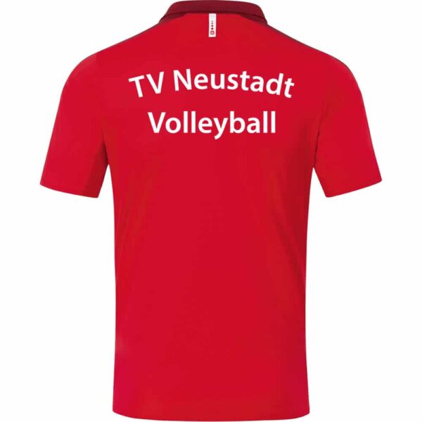 TV-Neustadt-Volleyball-Polo-6320-01-Ruecken