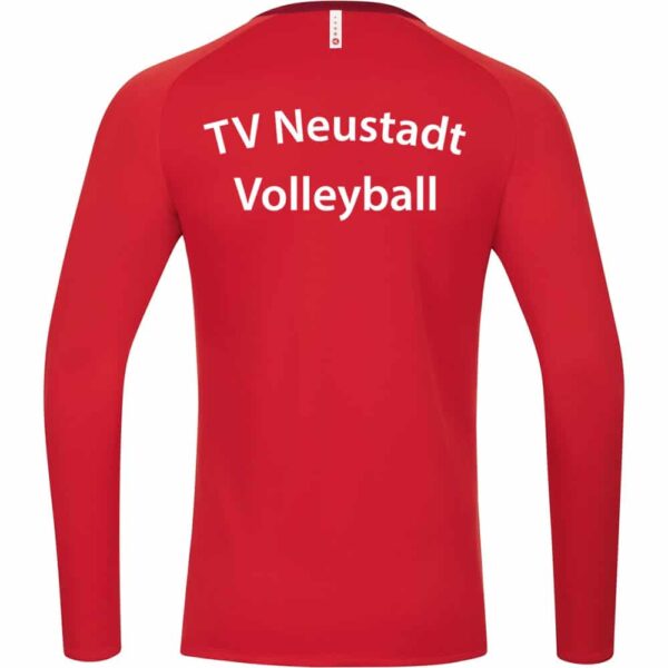 TV-Neustadt-Volleyball-Sweat-8820-01-Ruecken