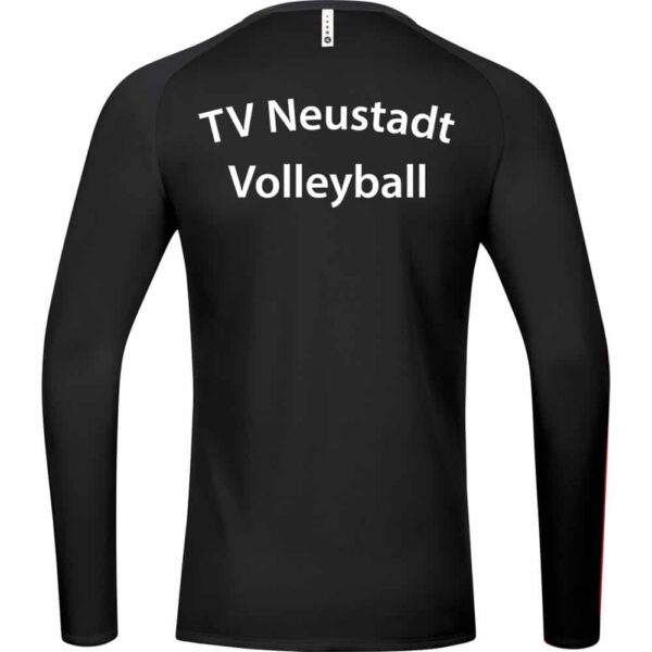 TV-Neustadt-Volleyball-Sweat-8820-08-Ruecken
